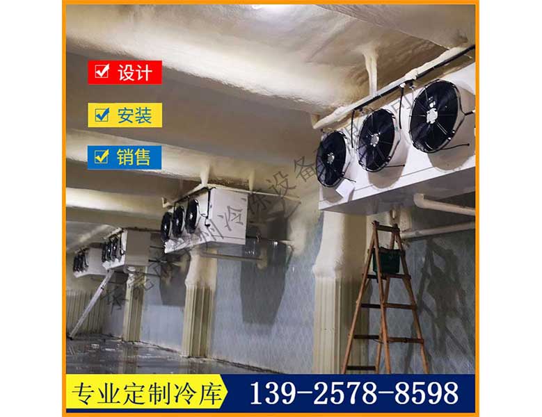 -20度冷冻库库体