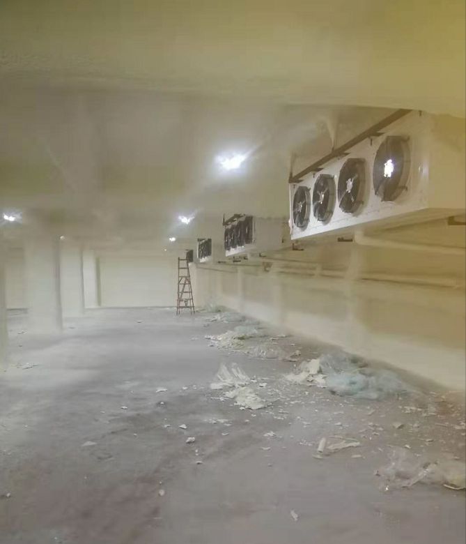喷 涂式冷冻库工程