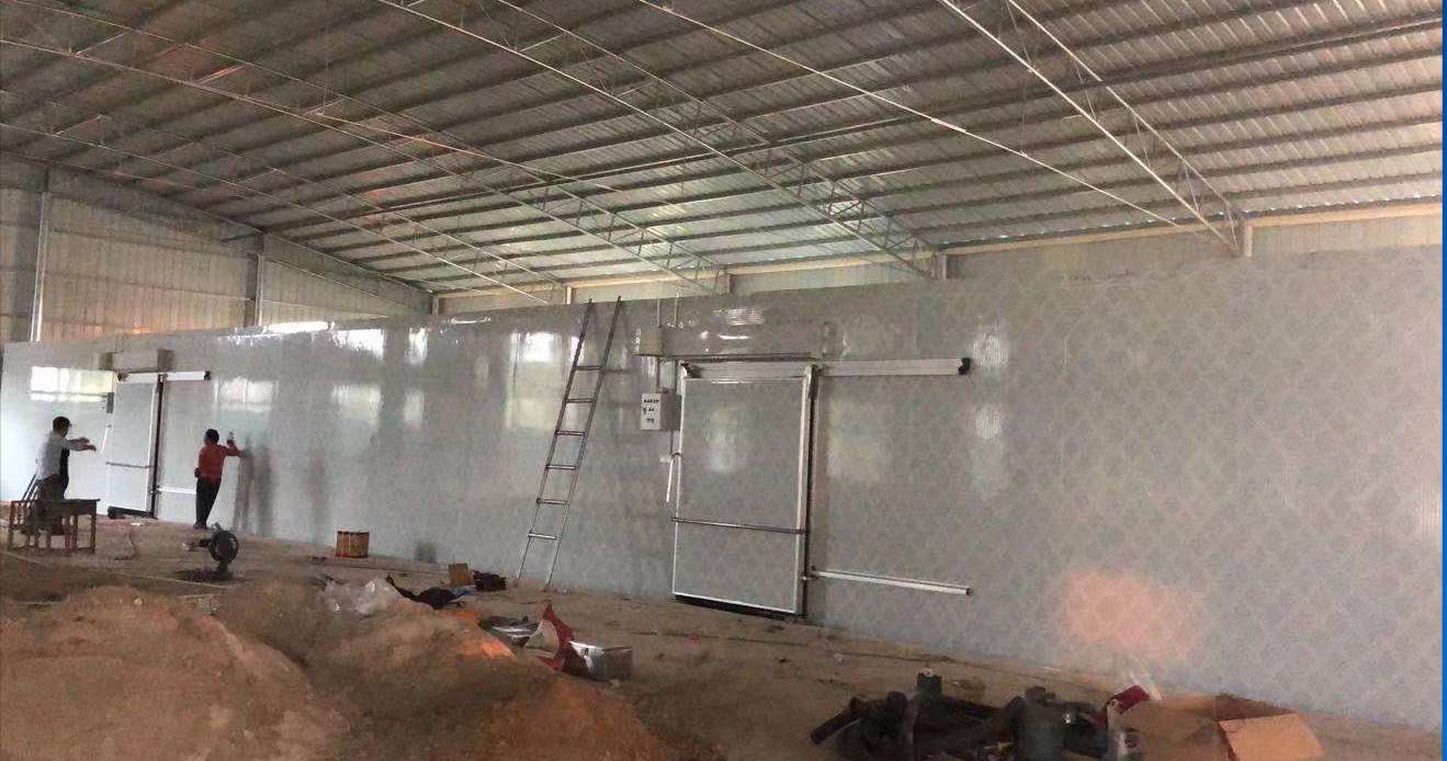 100mm聚氨酯蔬菜保鲜库