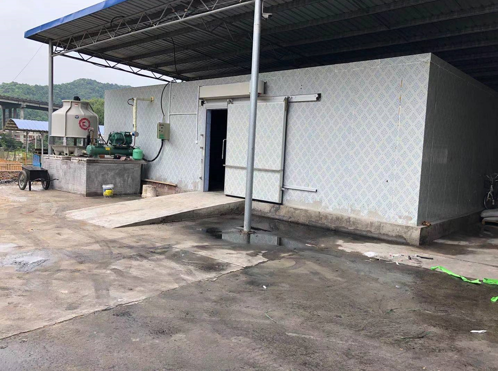 规格：150mm库板；15HP比泽尔水冷机组