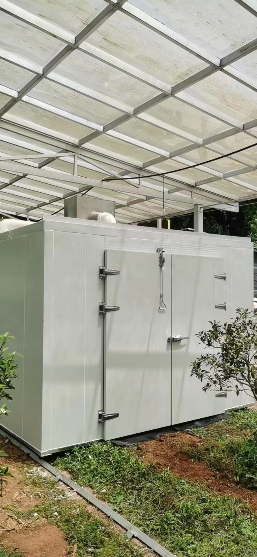 蔬菜种子试验箱冷库