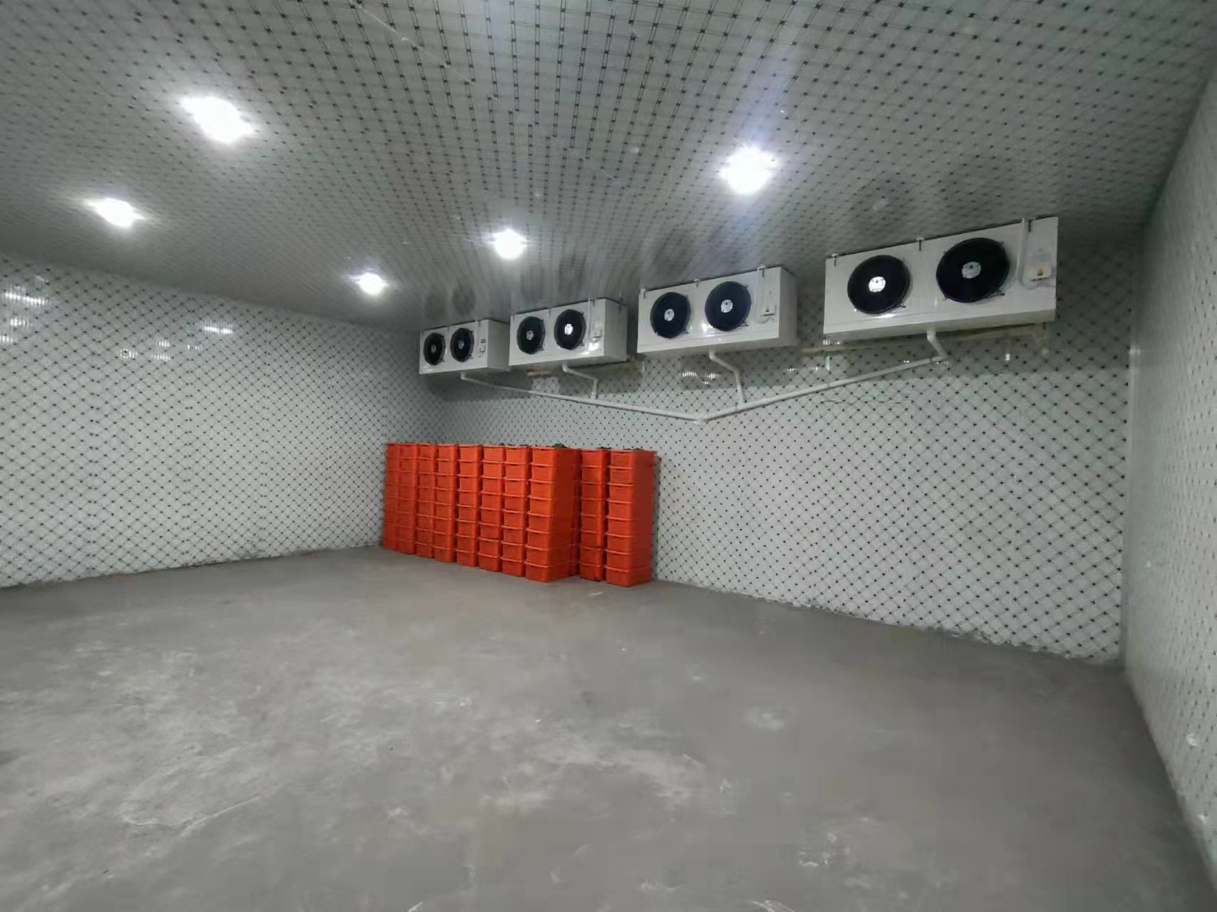 广东菜心贮存冷库+5库