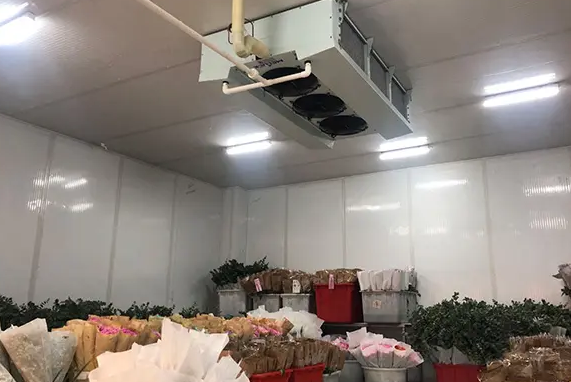鲜花冷库